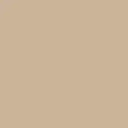 Stonish Beige Paint Color DEC716