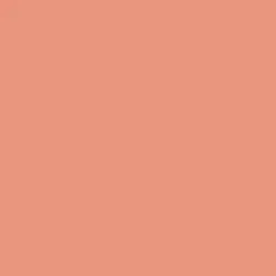 Presidio Peach Paint Color DET435