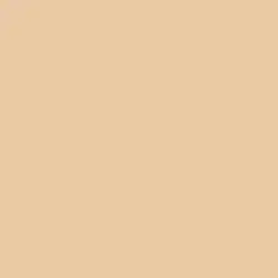 Peaches 'n' Cream Paint Color DET451