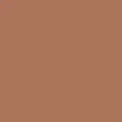 Arizona Clay Paint Color DET454