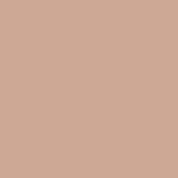 Half Moon Bay Blush Paint Color DET457