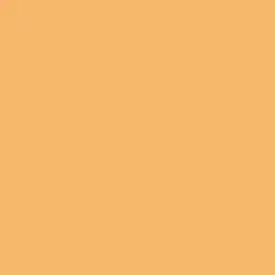 Citrus Honey Paint Color DET461