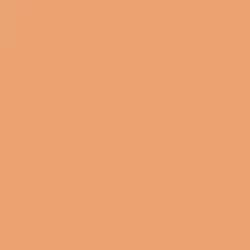 Prairie Sun Paint Color DET463