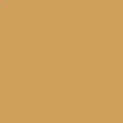 Honey Beehive Paint Color DET475