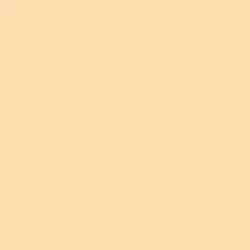 Peach Bellini Paint Color DET476