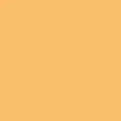 California Peach Paint Color DET479