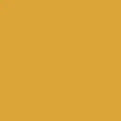 Sunny Disposition Paint Color DET481