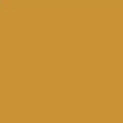 Alameda Ochre Paint Color DET482