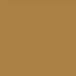 Bungalow Gold Paint Color DET484