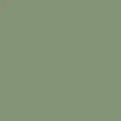 Catalina Green Paint Color DET501