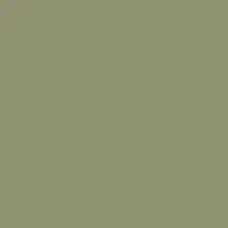 Desert Sage Paint Color DET505