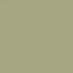 Eastlake Olive Paint Color DET506