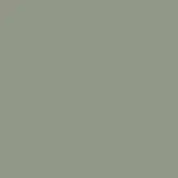 Smoke & Ash Paint Color DET514