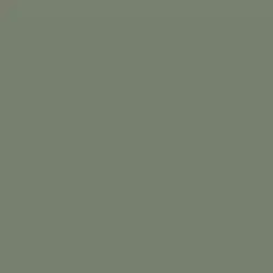 Harbor Mist Gray Paint Color DET515