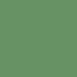 Arizona Tree Frog Paint Color DET521