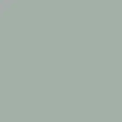 Silver Screen Paint Color DET591