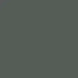 Carbon Dating Paint Color DET592