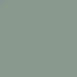 Deco Gray Paint Color DET609