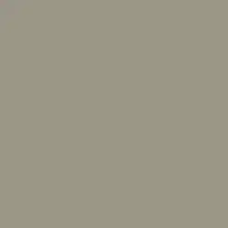 Barnwood Gray Paint Color DET620