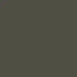 Renwick Brown Paint Color DET630