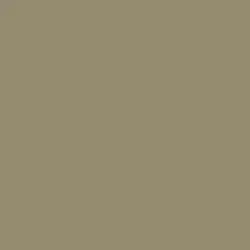 Tawny Owl Paint Color DET640