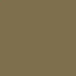 Raw Umber Color de pintura DET658