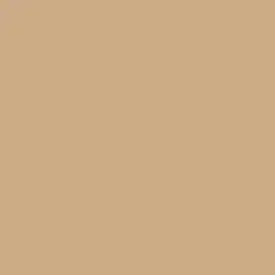 DaVanzo Beige Paint Color DET664