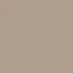 Bidwell Brown Paint Color DET698