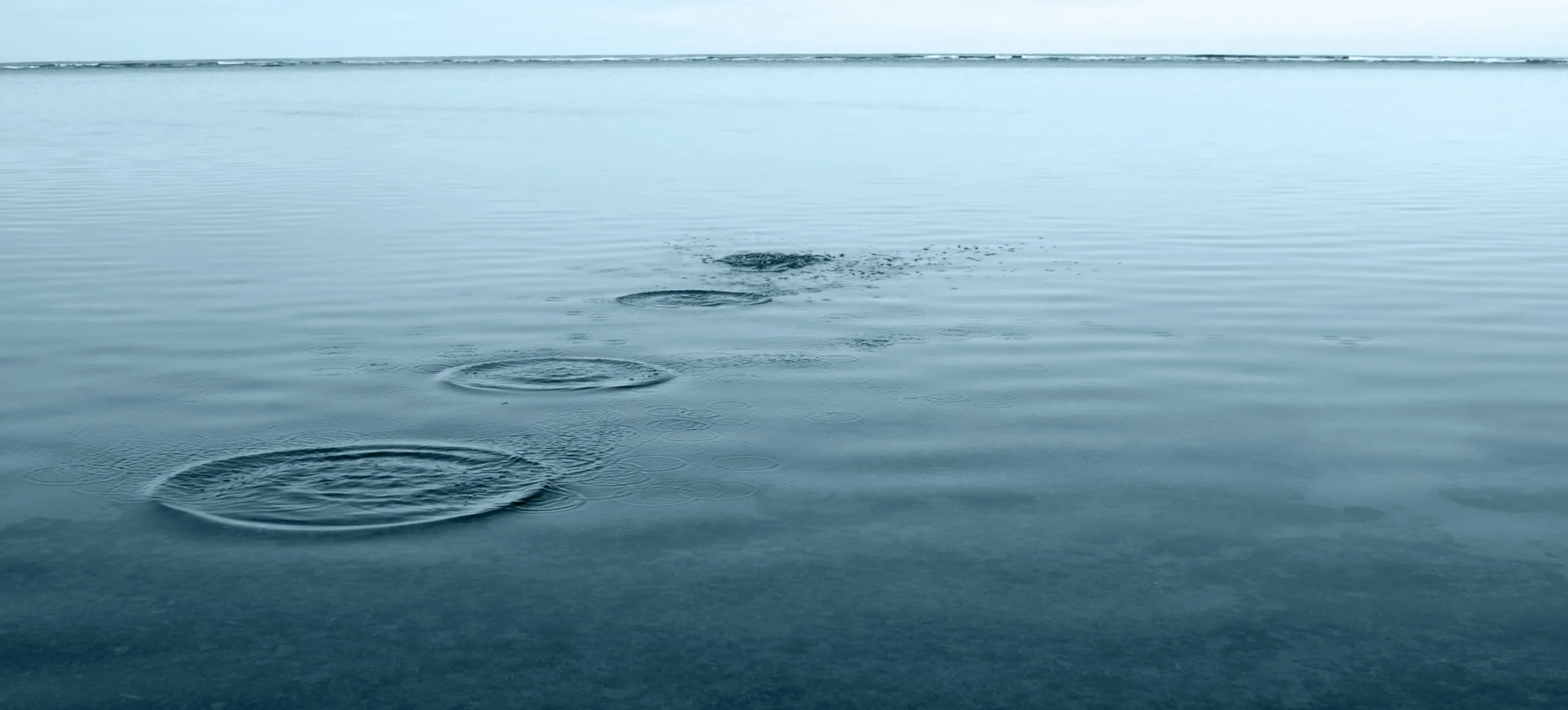 A large body of water