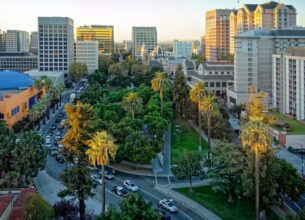 A group of palm trees with a building in the city