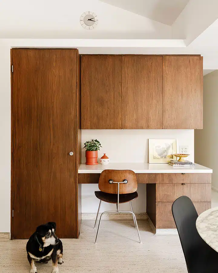 A dog sitting in a room