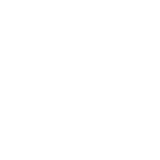 Store Icon