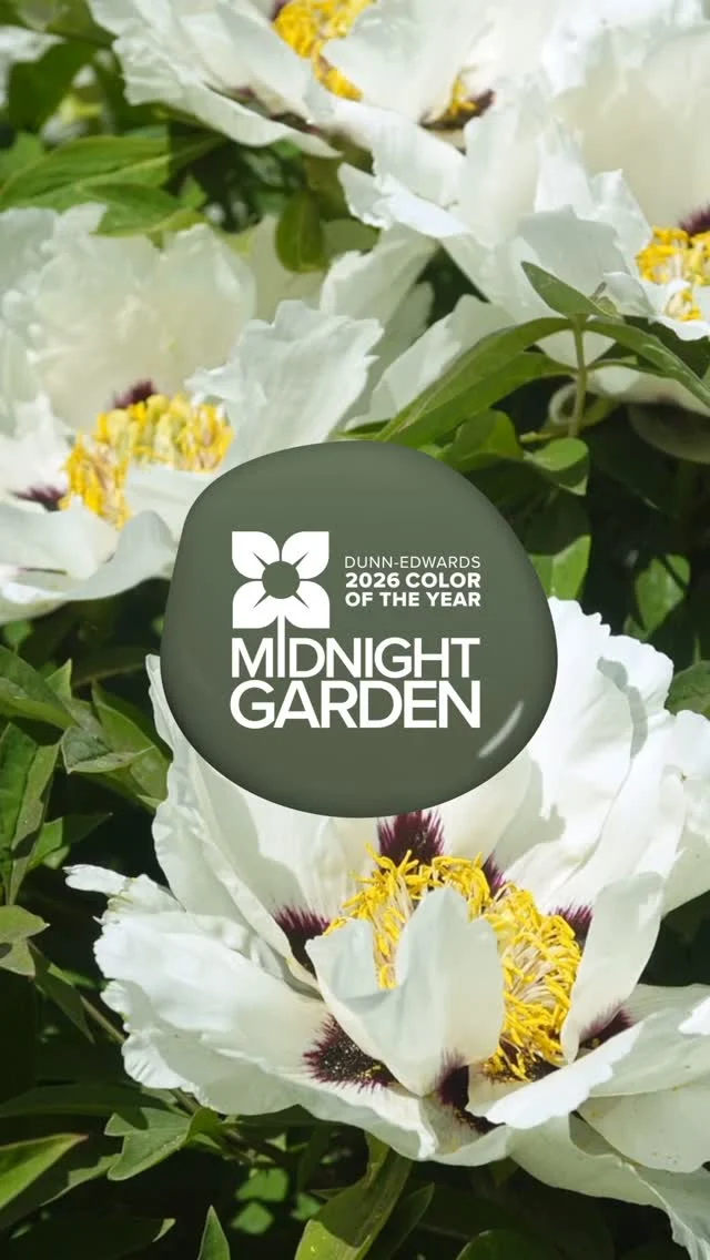 As our 2026 Color of the Year, Midnight Garden (DE5657) captures the beauty of the natural world around us. 🌿 From a lush moonlit garden to the whisper of nature’s quiet elegance, this deep, muted green evokes a sense of wellness, eco-conscious living and timeless design.

🔗 Step into the tranquility of Midnight Garden on DunnEdwards.com or tap the link in our bio.

#DunnEdwards #ColorOfTheYear #DesignInspiration #PaintColors #DECOTY2026